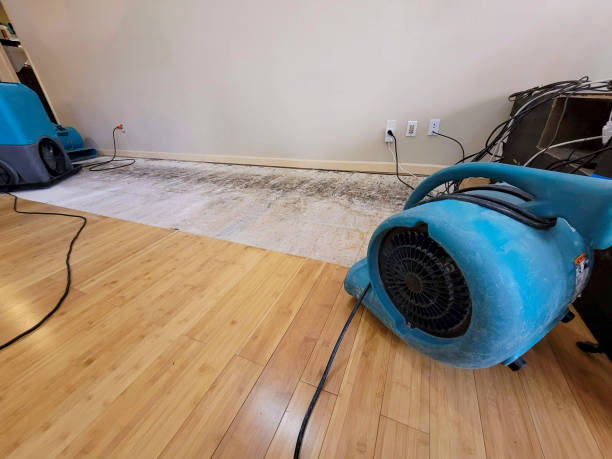 Professional Structural Drying technician working in Pierson, MI